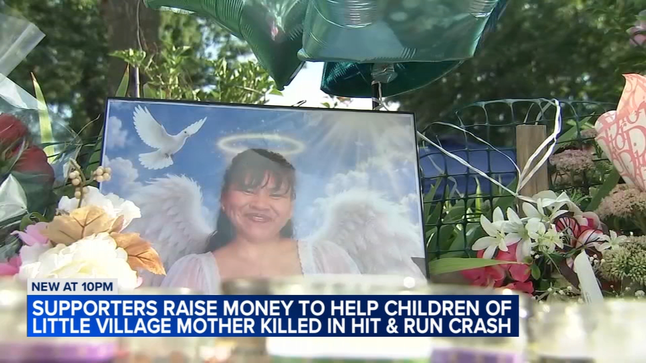 Mother of Four Killed in Chicago Hit-and-Run